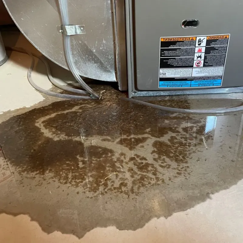 Pipe Burst and Leak Restoration in Winamac, IN